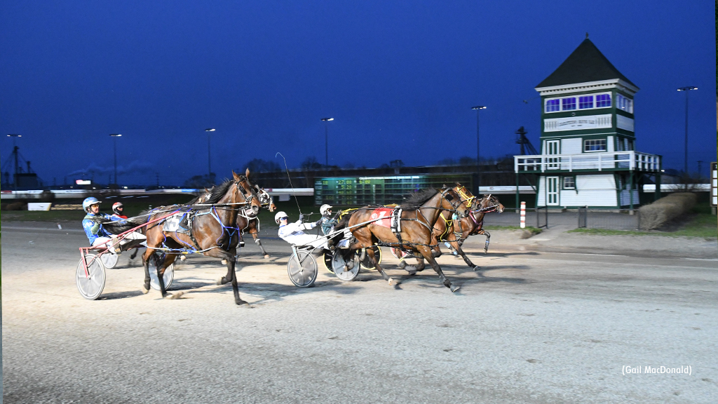 Ms Meaghan Sparkel Upsets In Charlottetown