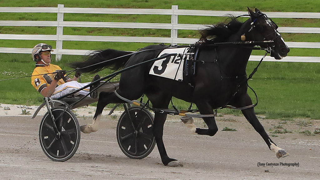 Big Prices In Both Oak Grove Opens