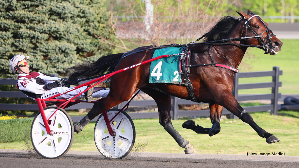 No Catching Osceola In Mohawk Preferred 