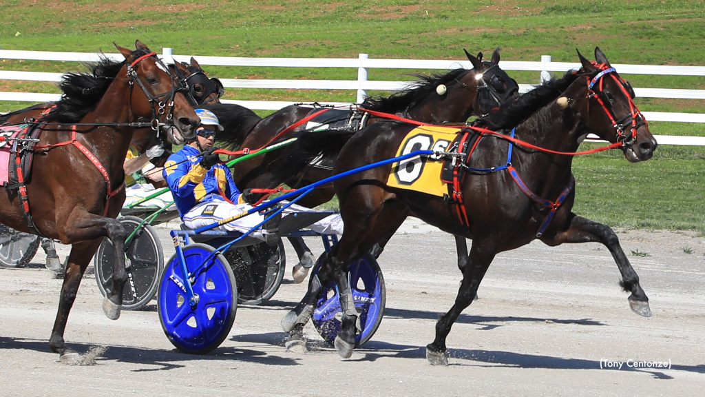 Railee Something Rebounds In Oak Grove Open