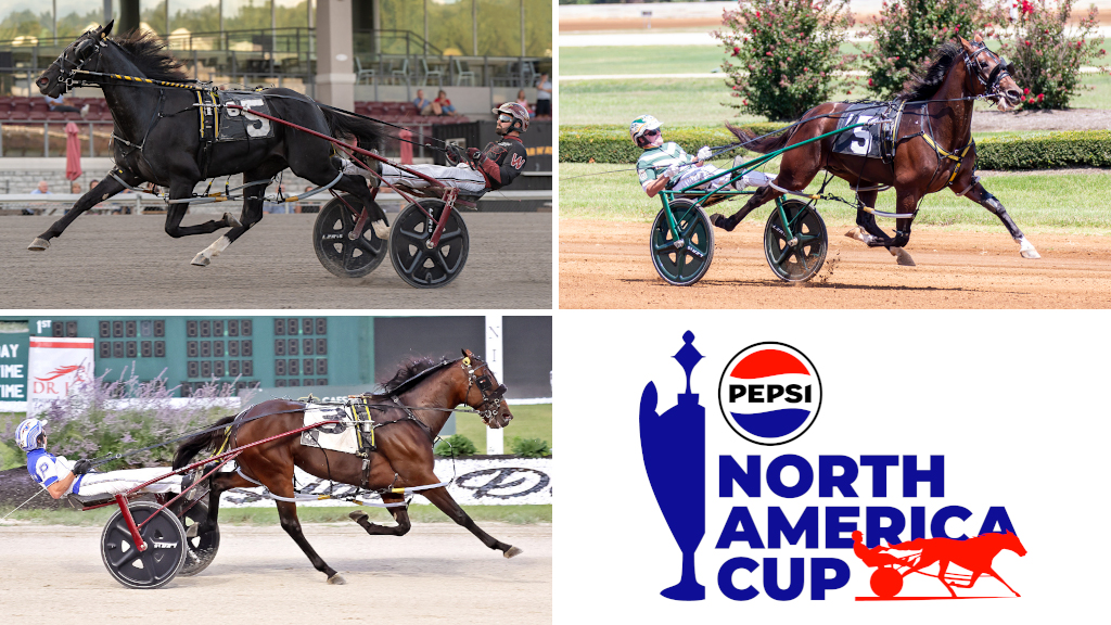 TROT N.A. Cup Spring Book Profile: Burke Brigade 