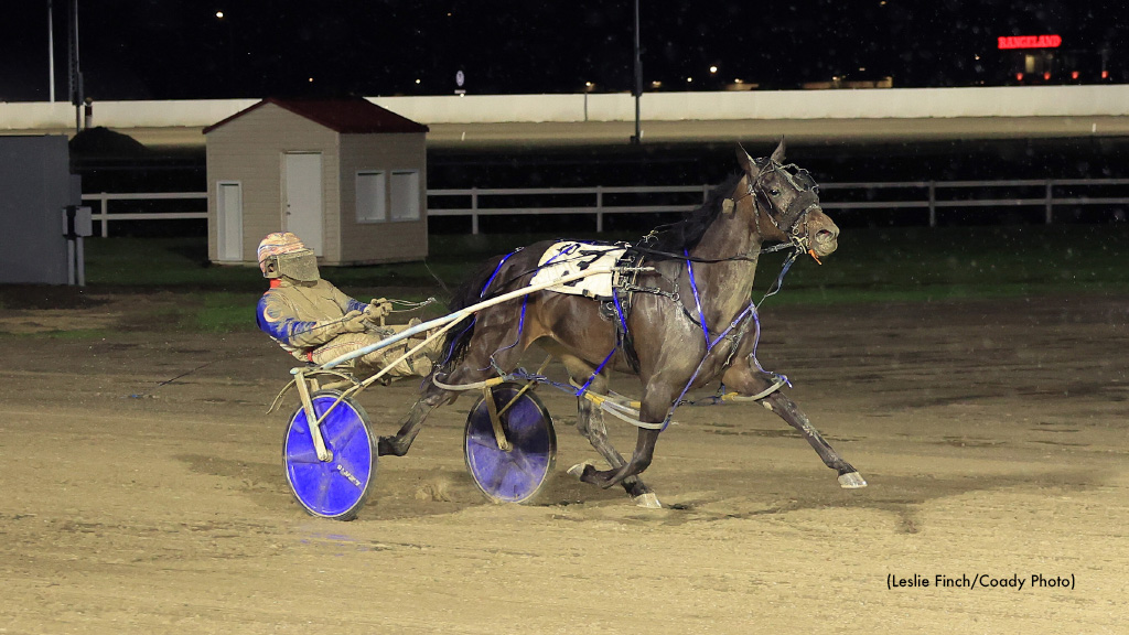 Campbell In Command At Century Downs