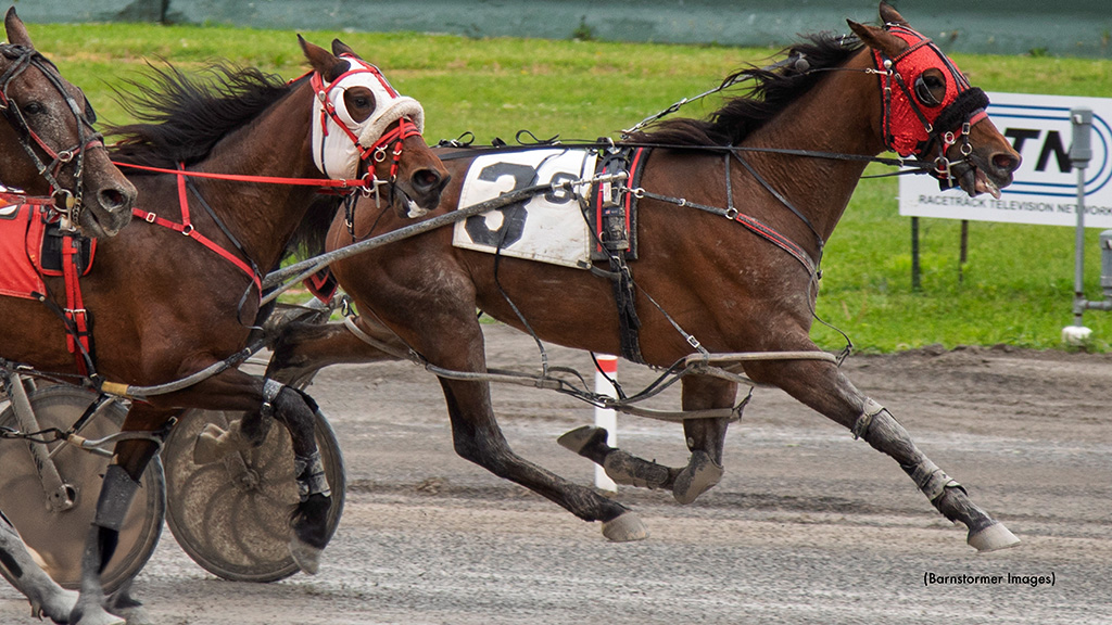 Scenic Adventure Has Adventure In Buffalo Win