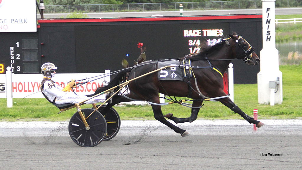 Side Piece Was Center Stage In Plainridge Distaff