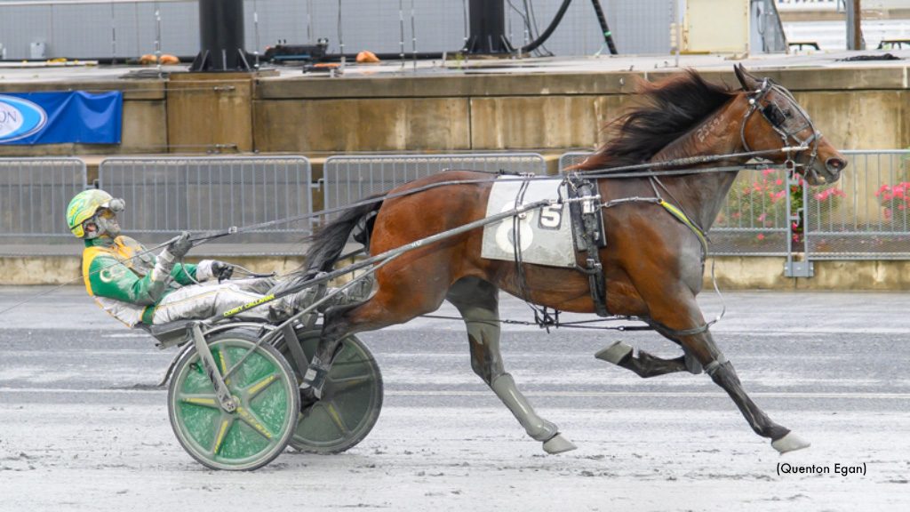 Speed Away In Full Stride At Harrington
