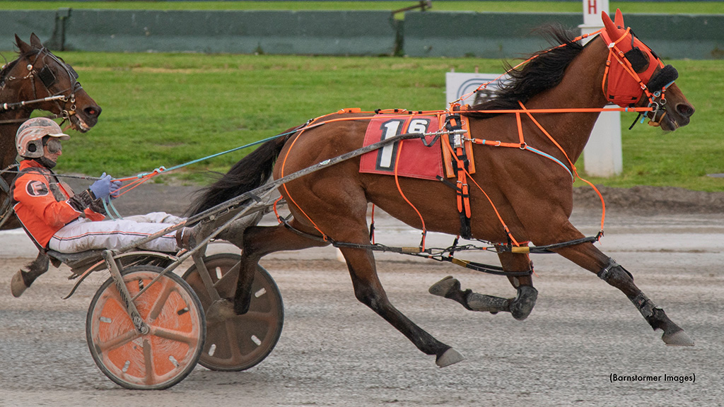 Summer Slash Wires Buffalo Featured Pace