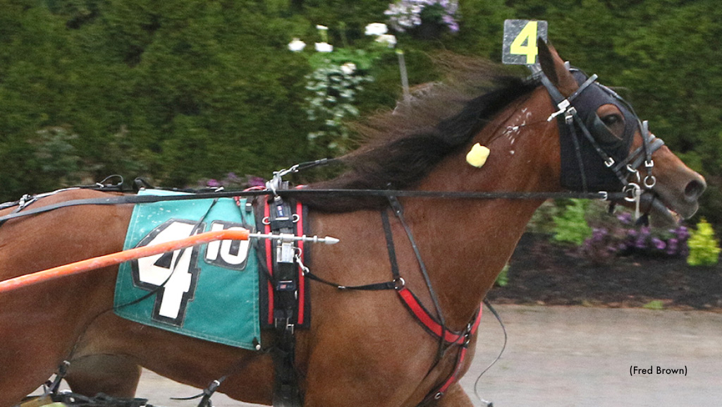 Taking The Miki A Takes Tioga Feature