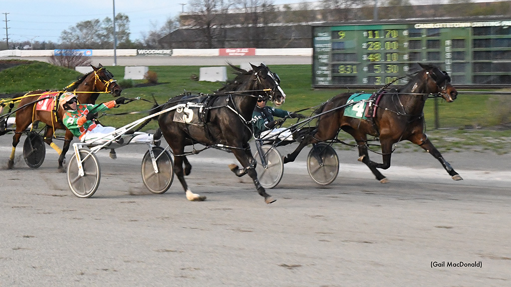 Tobins Brownie Wires Charlottetown Distaff Preferred