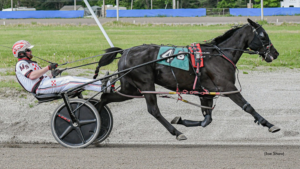 Five Straight For Vel Miss Taylor