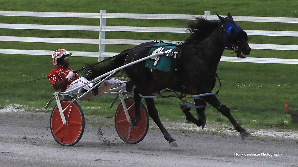 Captain Arturovico Wins Fifth Straight At Oak Grove