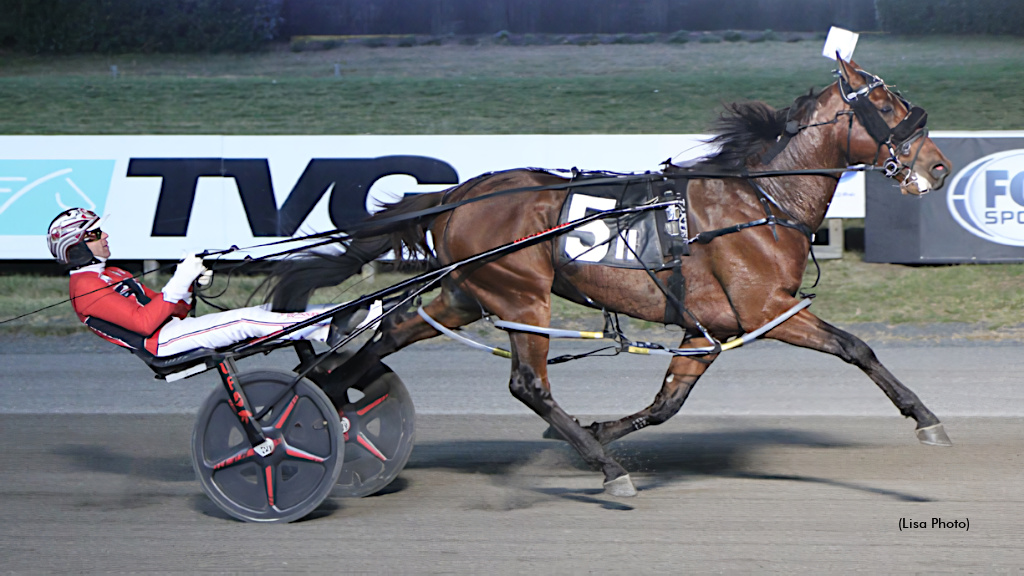 Captain Optimistic To Stand Stud In 2026