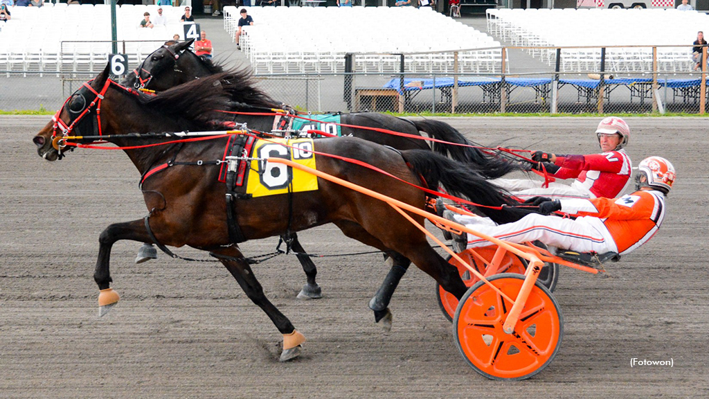 Century Invader, War Of Will Win At Vernon