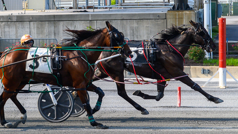 Double Metal Wins Harrington Open