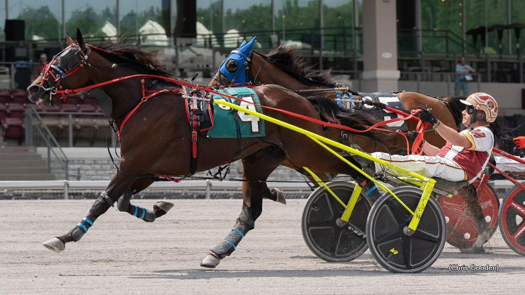 Gimpanzee Dancer Breaks Currier & Ives Record