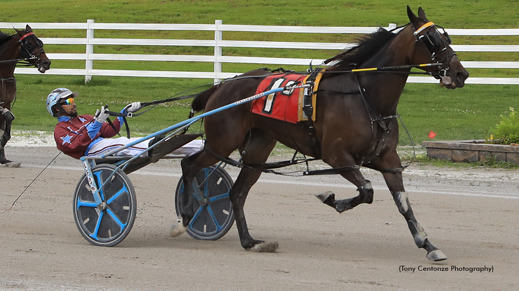 High Flyin Filly Upsets In Oak Grove Distaff Open