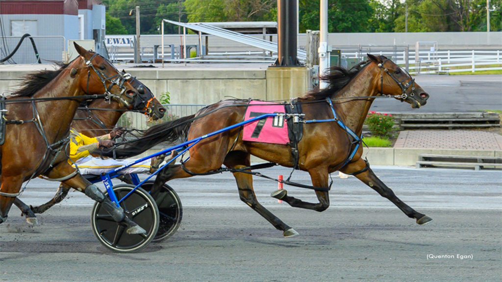 Incaseyoudidntknow Game In Harrington Open