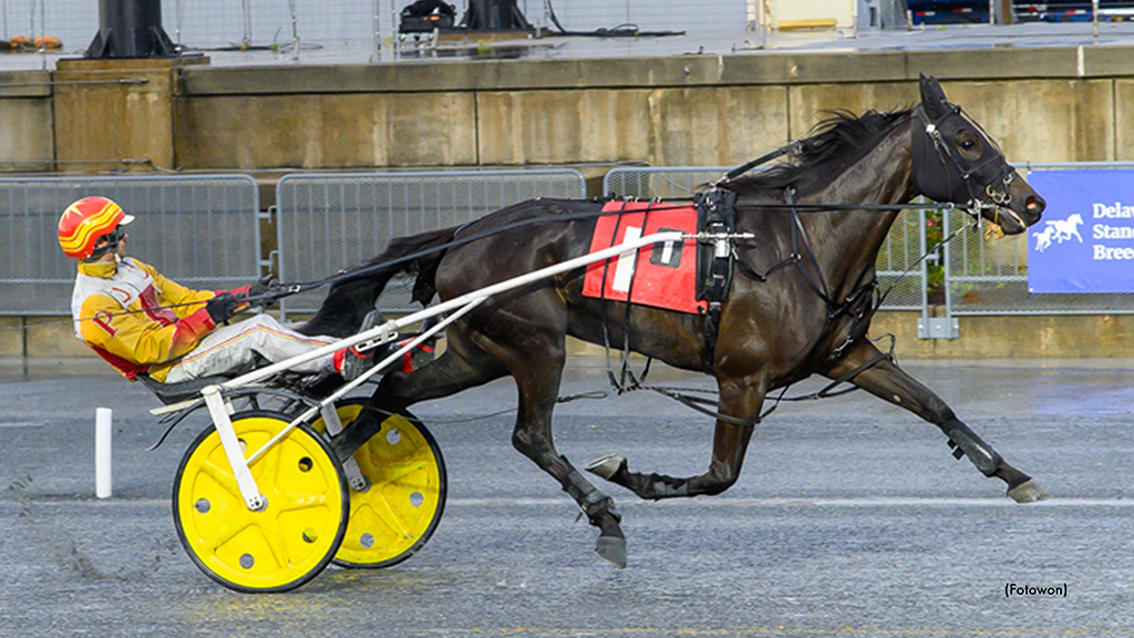 Kats Fancy Fastest Of Four DSBF Elims