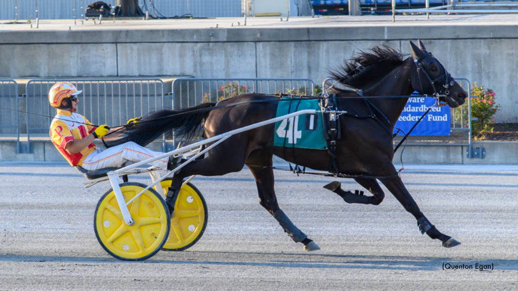 DSBF Trotters Complete Second Leg