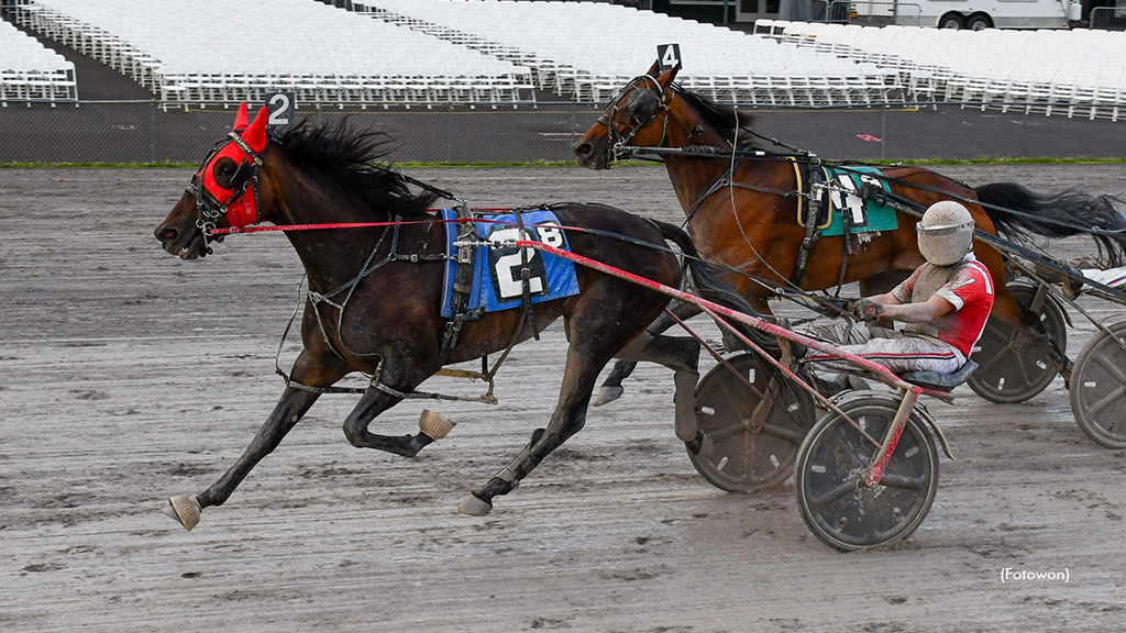 Kinnder Hotblood Back On Track