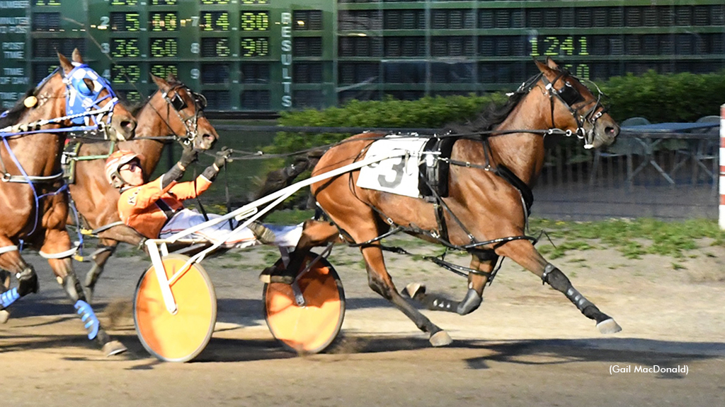 Little Leroy Pulls Big Upset In P.E.I. Colt Stakes Graduate Series