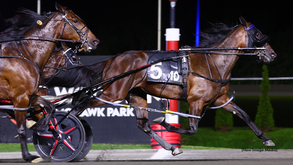 Miki And Minnie Mighty In Fan Hanover