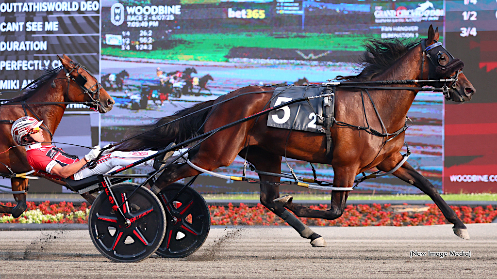 Miki And Minnie Ready For Fan Hanover Showdown