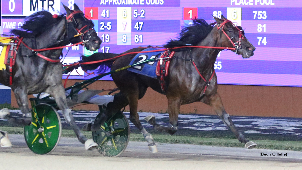Miracle Maven