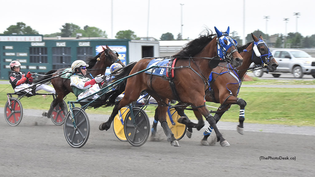 Paradise Moni Poised For Quebec Series Sweep