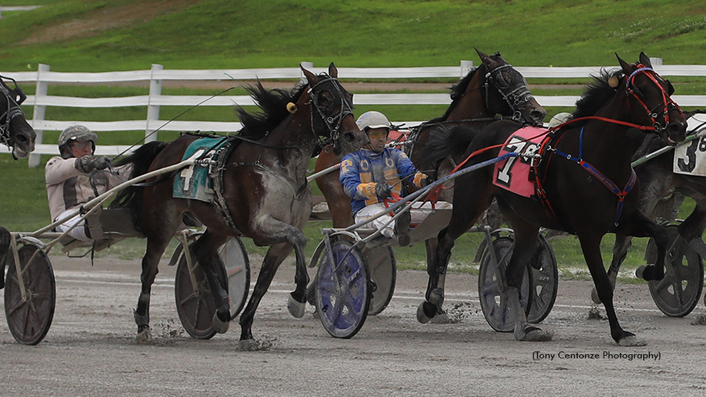 Millionaire Dead-Heat In Oak Grove Open Trot