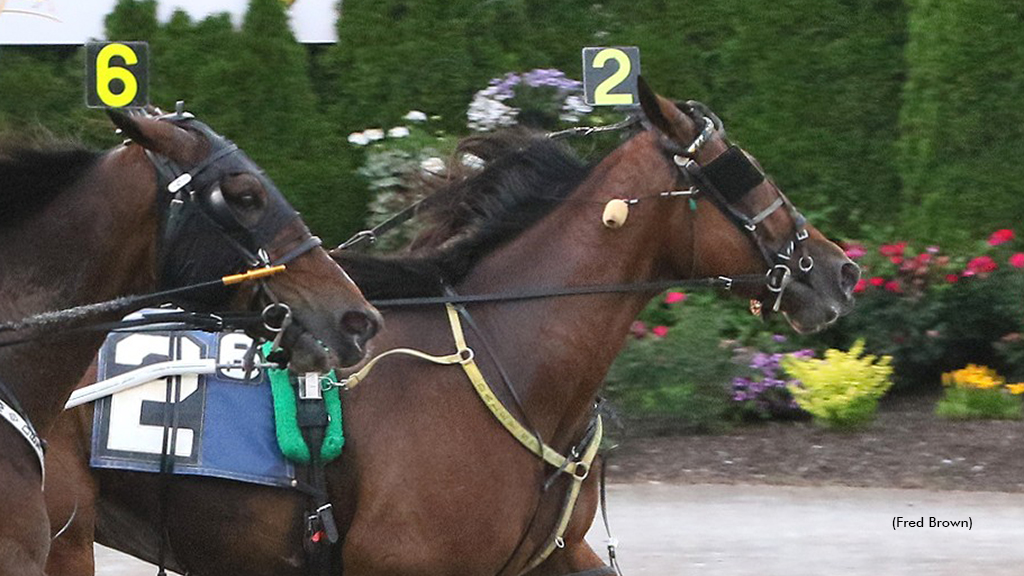 Three Straight For Ramborain With Open Trot Win