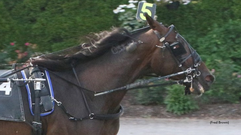 Sevenshotsobourbon Best At Tioga