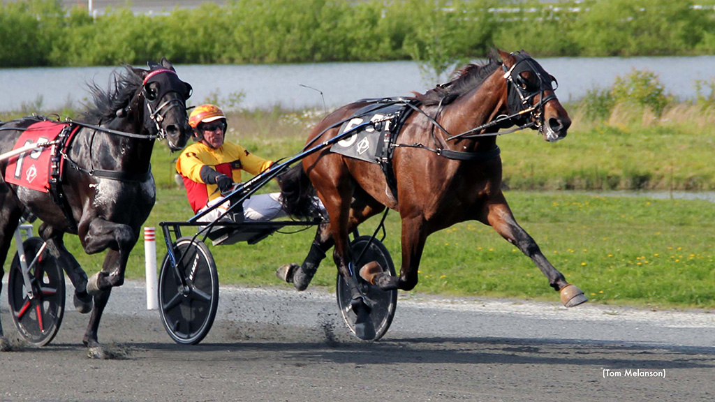 Cecere, Ranger Each Win Five At Plainridge