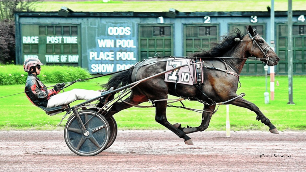 Three Times Bettor
