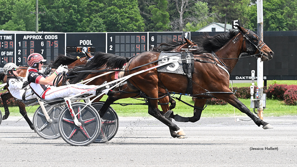 Waitforever N Gives Derue An Open Double At Saratoga