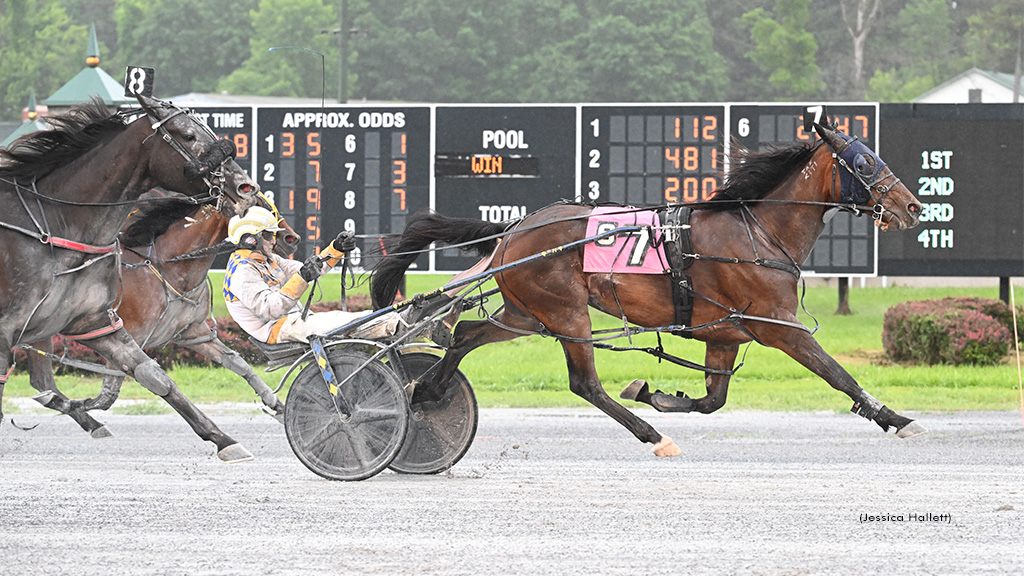 Waitforever N Repeats In Saratoga Open