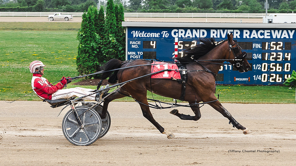 Warraweeforlaura Large In Grand River Preferred