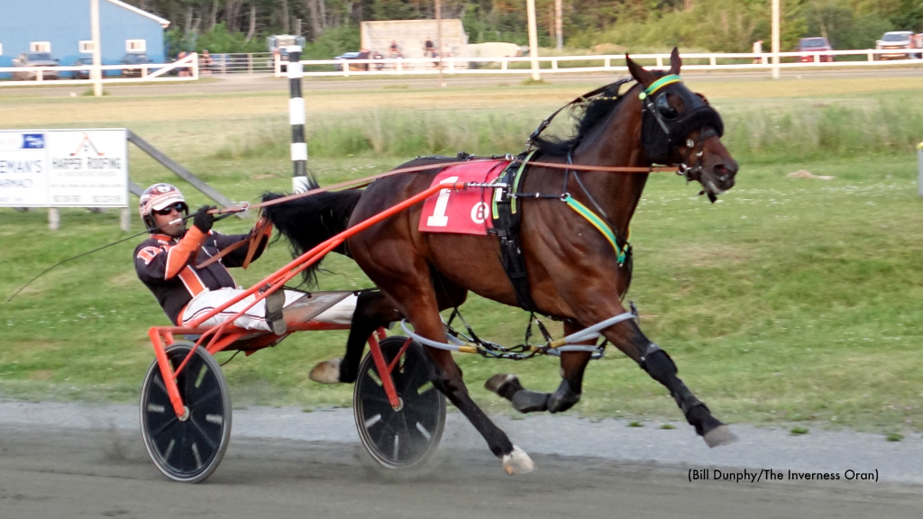 Whats Up Doc Wires Field In Inverness Winners Over 