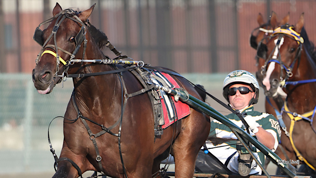 Unbeaten AI Equals Yonkers Record In NYSS