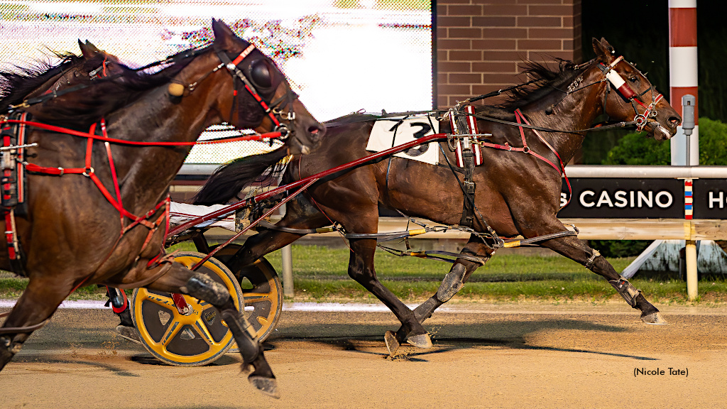 Alilthundadownunda Storms Home In Aces Open