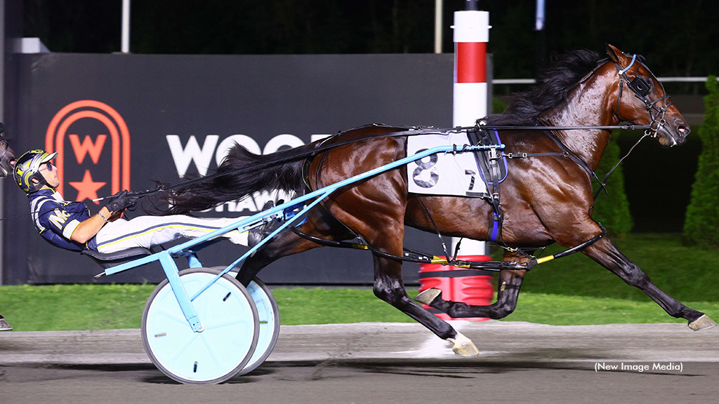 Beau Jangles Stays Perfect With OSS Gold Repeat