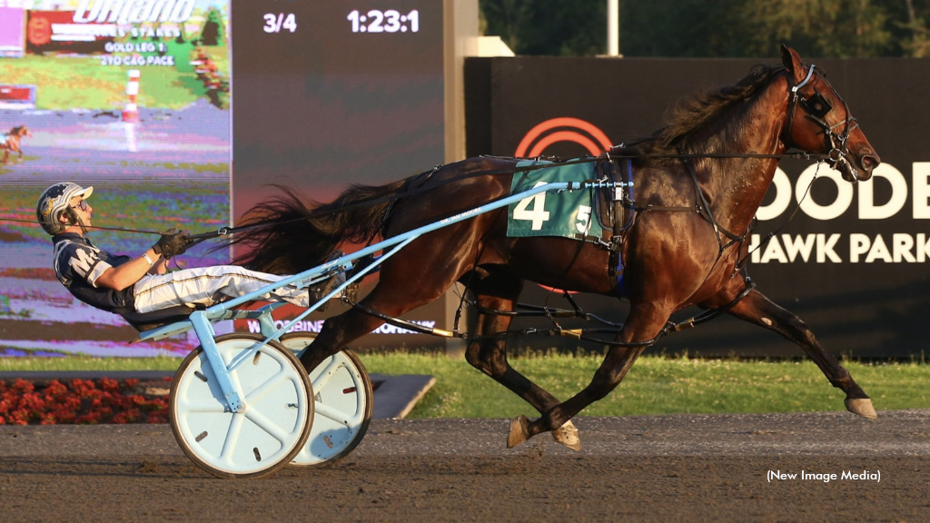 Beau Jangles Dances To Impressive Gold Debut