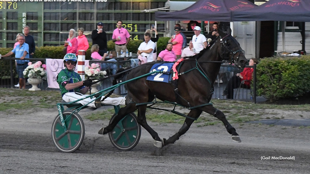 Bettor Than Spring Sizzles Again In Charlottetown Preferred