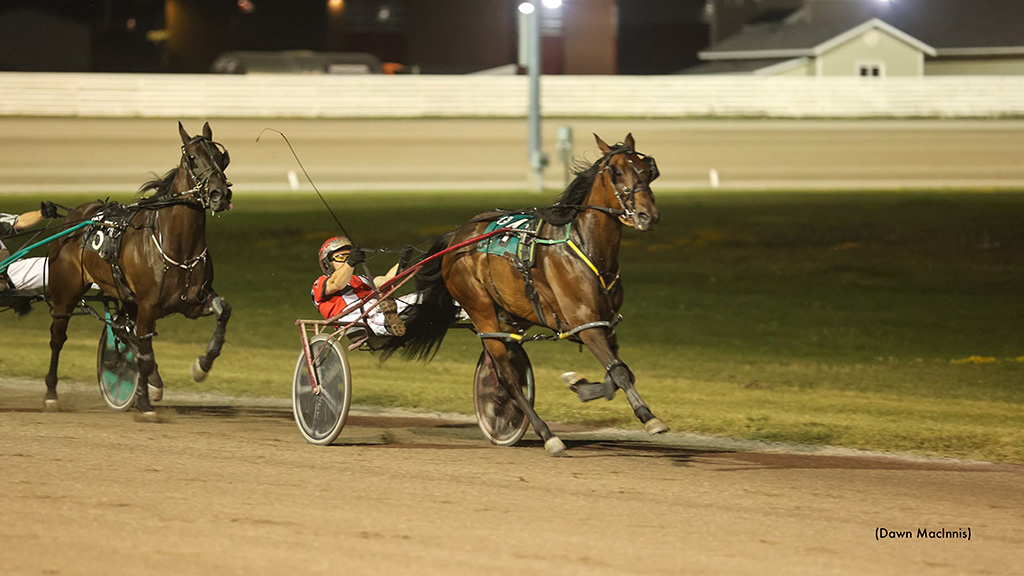 Brookdale Johnny Takes Preferred; Four For Collings