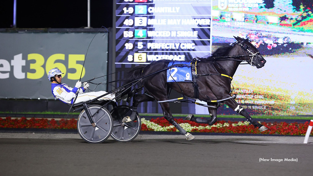 Chantilly Stays Perfect With OSS Gold Victory