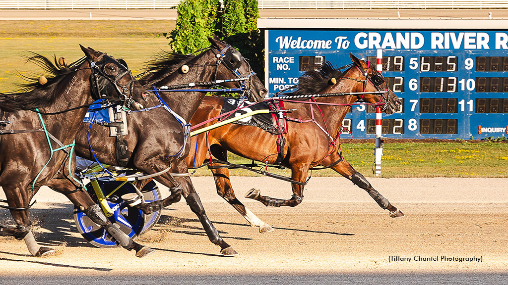 Charmbo Stormy Strikes In Grand River Preferred