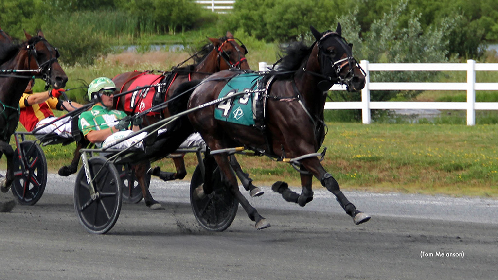Cougar On A Terr, Windydayatthebeach Win At Plainridge