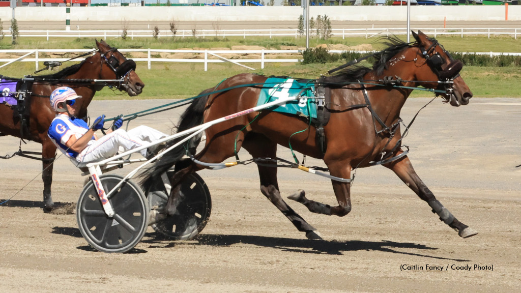 Custard Dolce Gives Giesbrecht A Sweet Souvenir