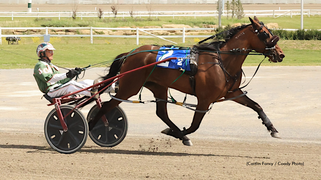 Custard Dolce Back On The Winning Track