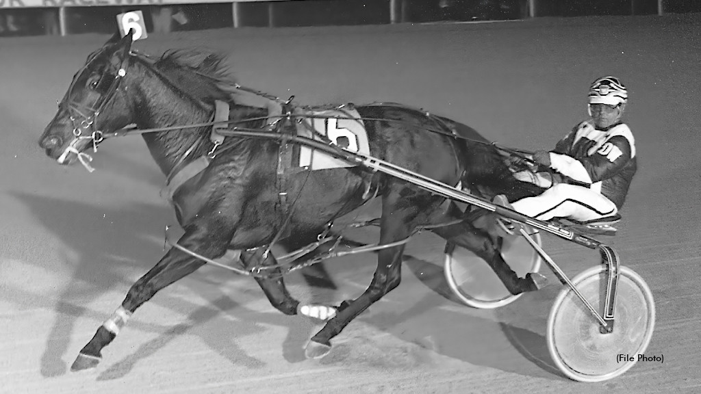 SC Rewind: Daisy Harbor Perfect In OSS