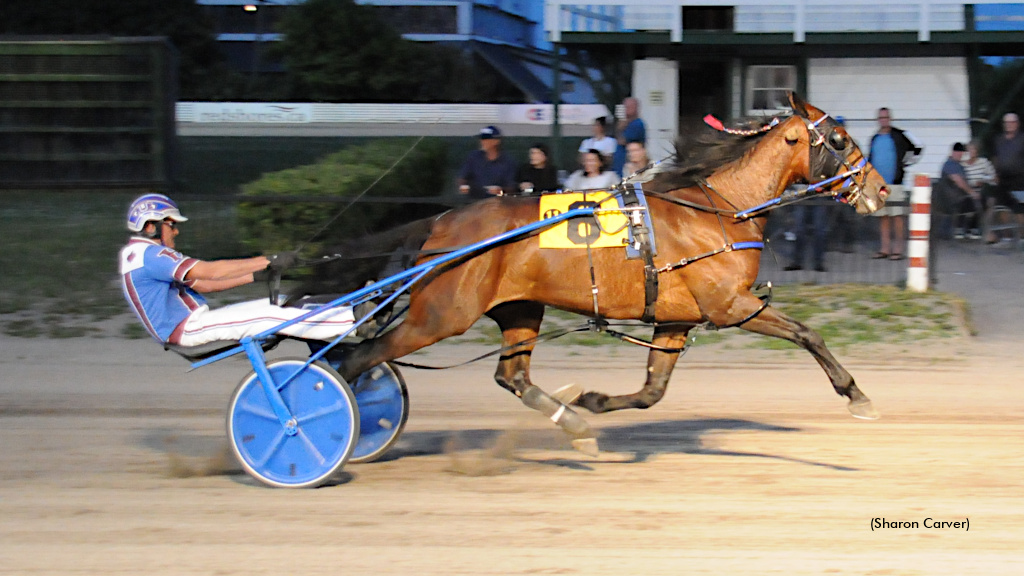 Island Oceans Trot Challenge Heats Up At Charlottetown